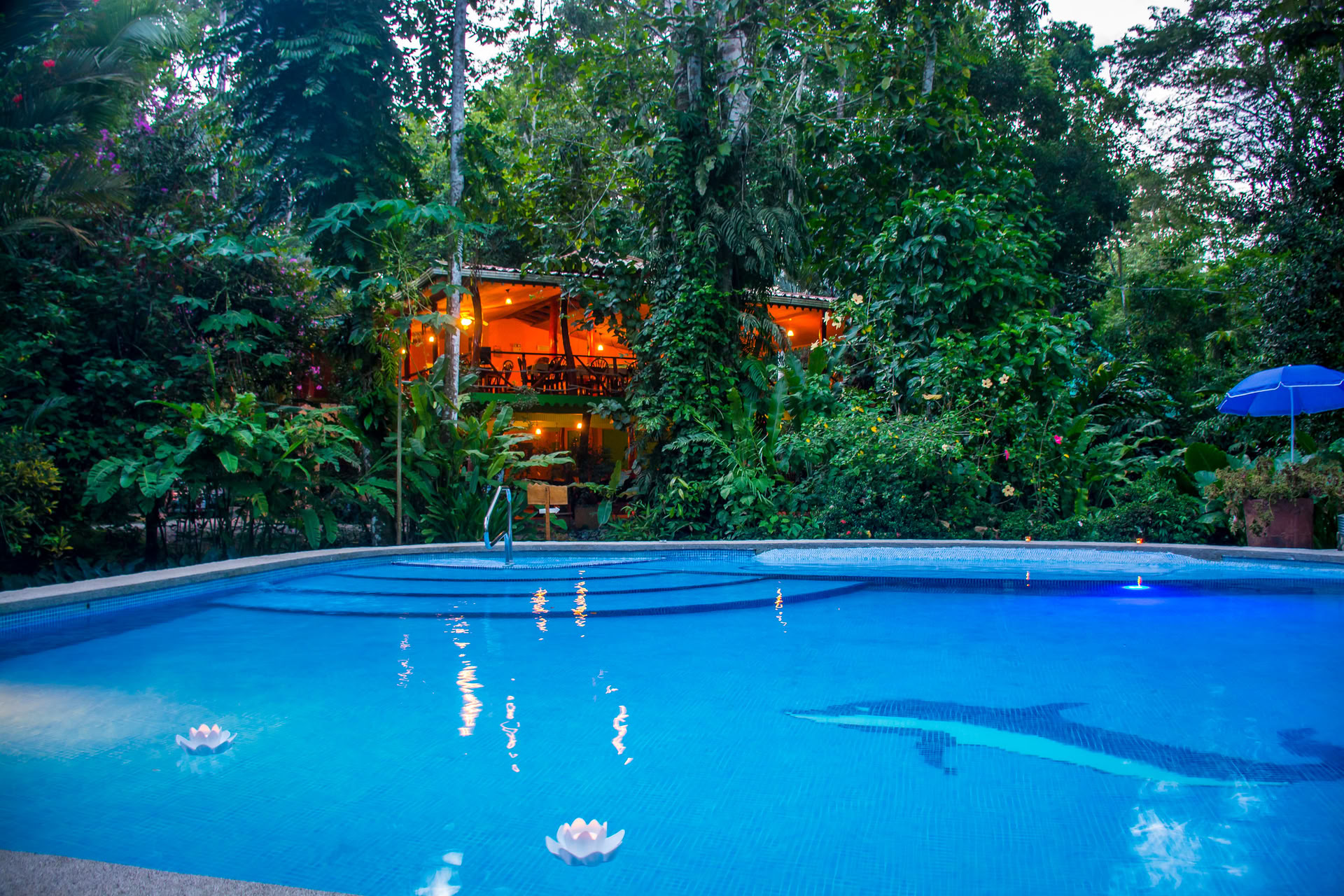 Shipibo helingsretreat