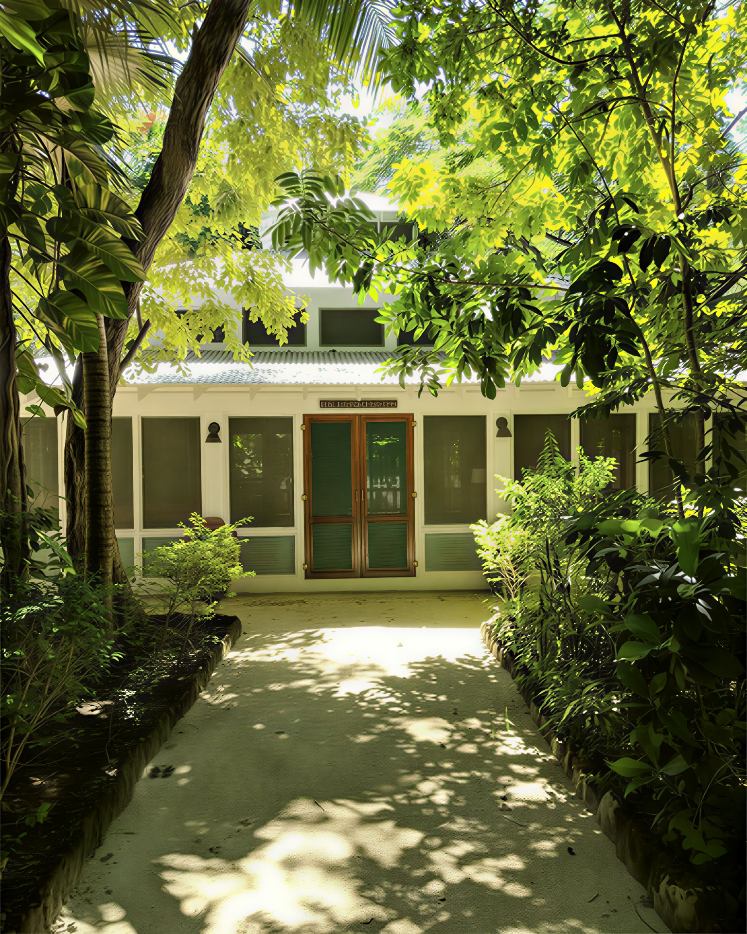 6-daags psilocybine-retreatprogramma