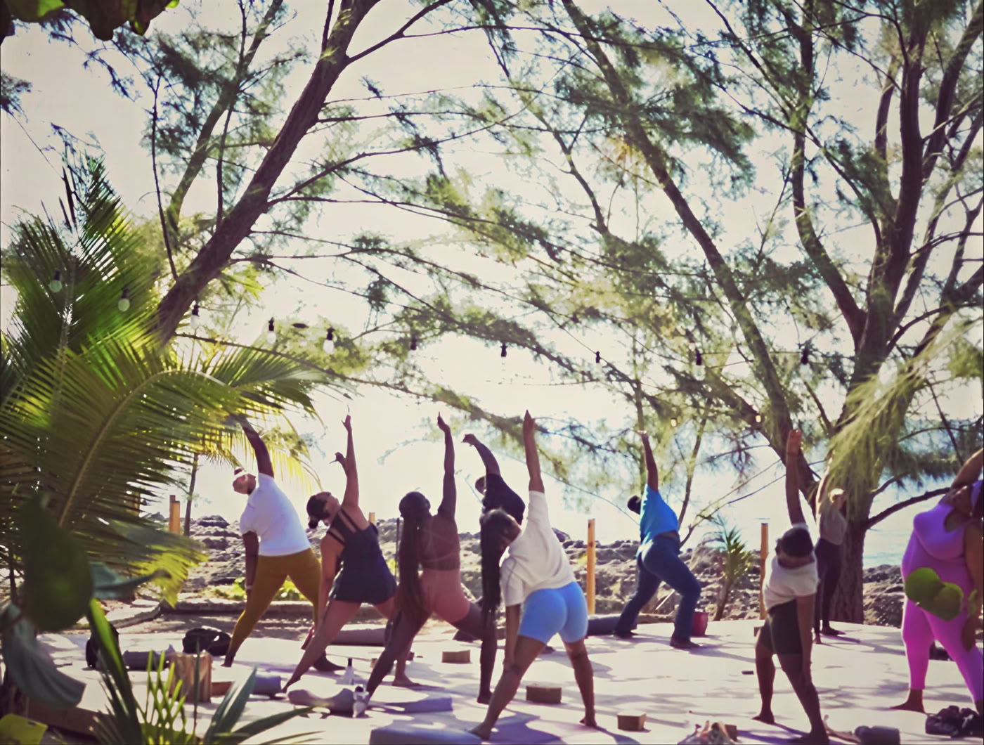 6-daags psilocybine-retreatprogramma