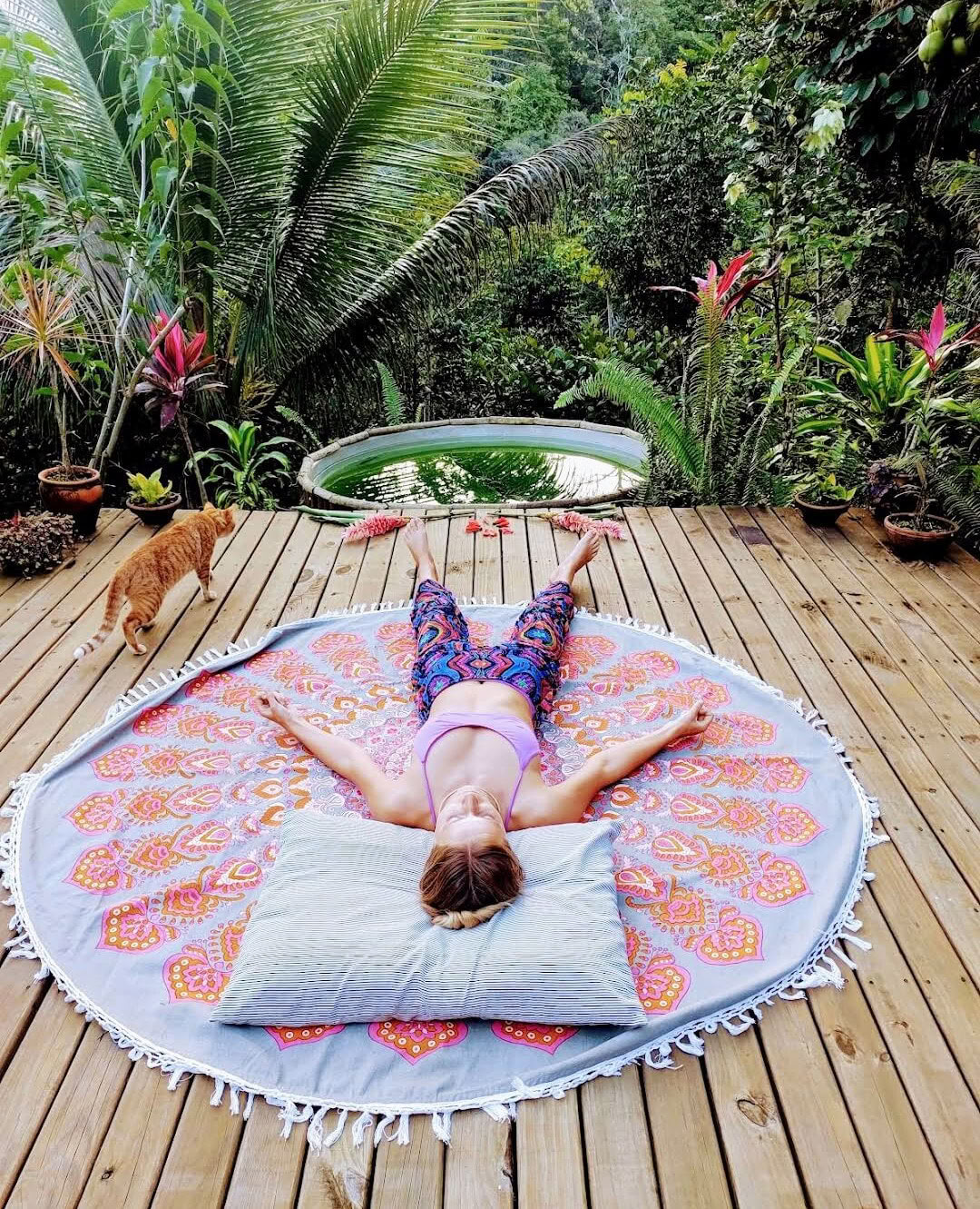 4-daagse privé-ayahuasca-retreat