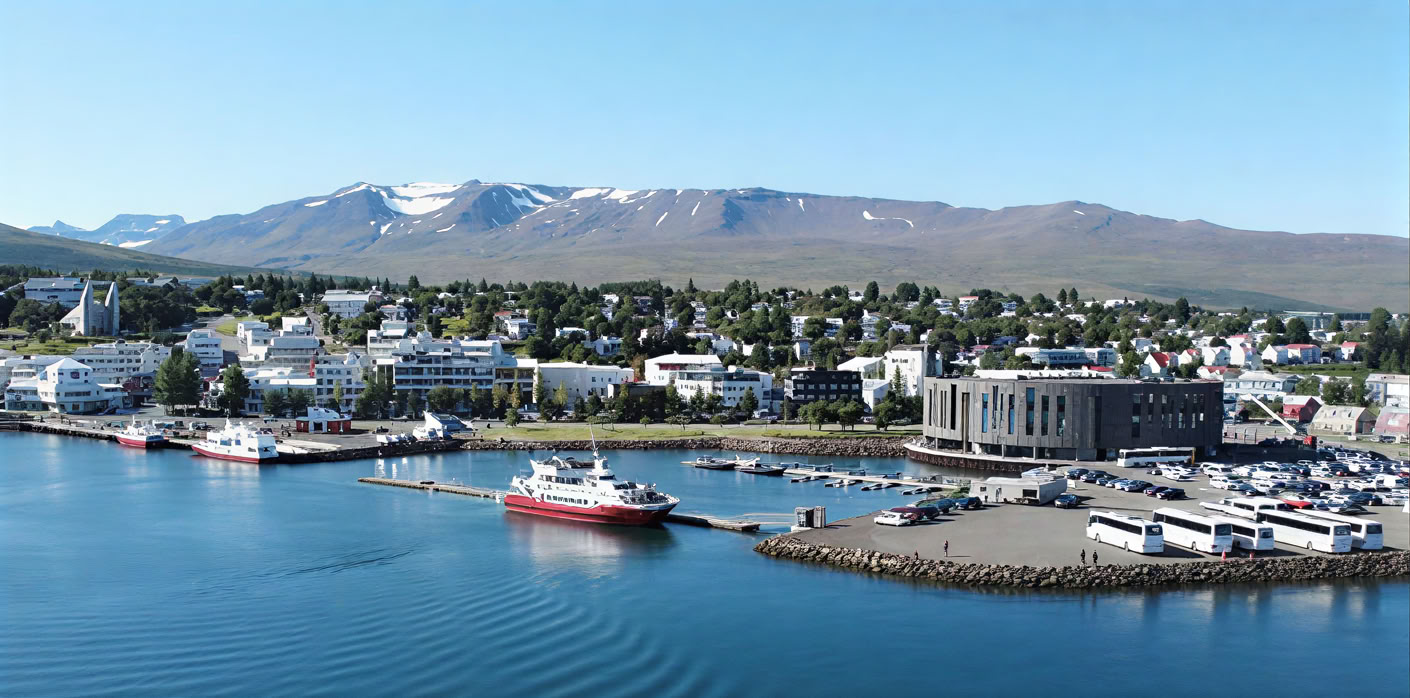 Walvissen spotten in Akureyri