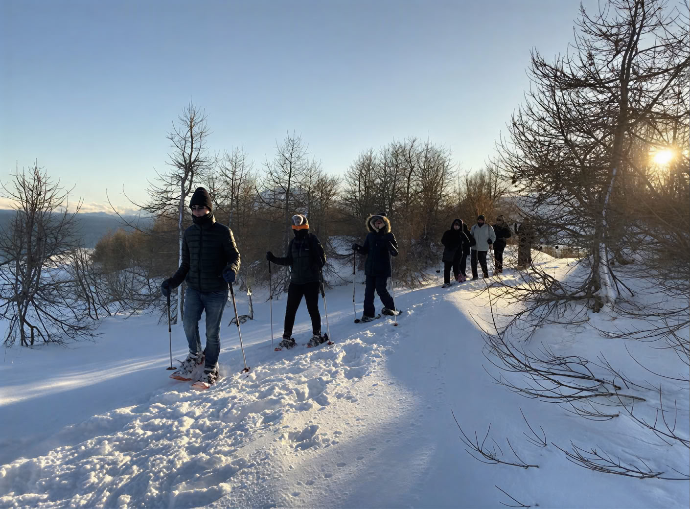 Yoga-retraite onder het noorderlicht in IJsland – data winter 2026