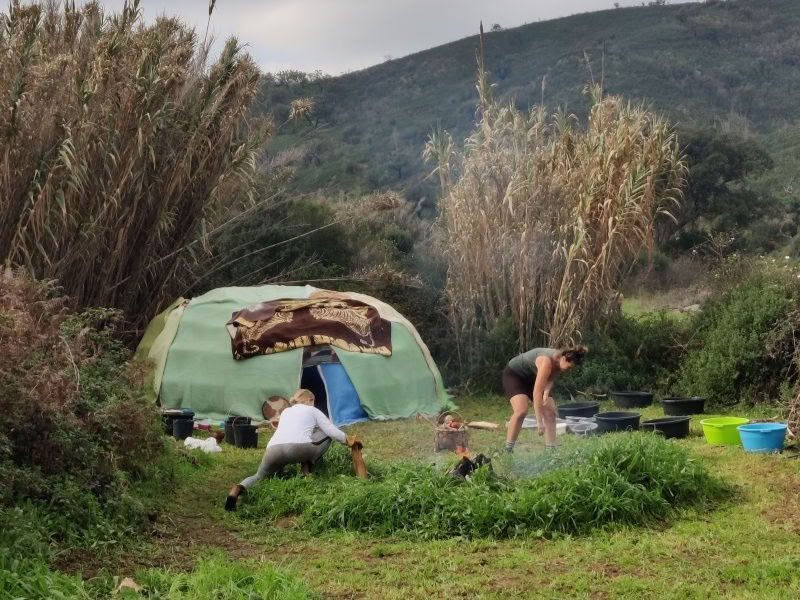 De Feniks Verrezen - Een Vision Quest-Retreat
