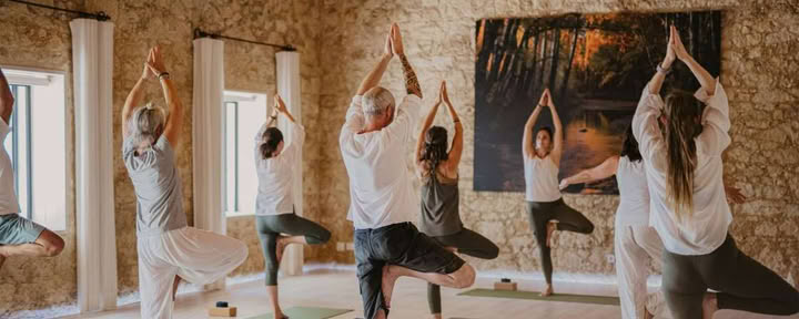 Somatische Genezing®