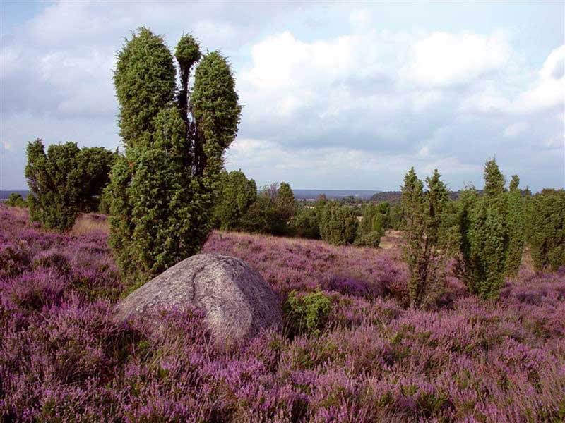 Vastencursus met wandelen en yoga