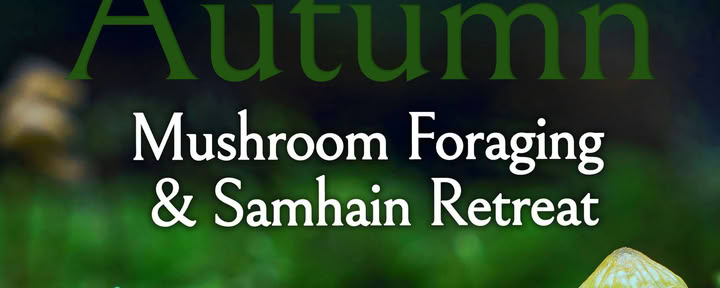 Herfst Samhain Wildplukretreat