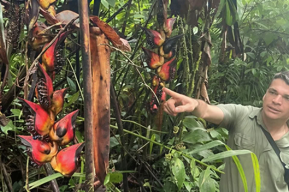 5-daagse / 4 nachten yoga- en meditatieretraite in Tamarindo, Costa Rica