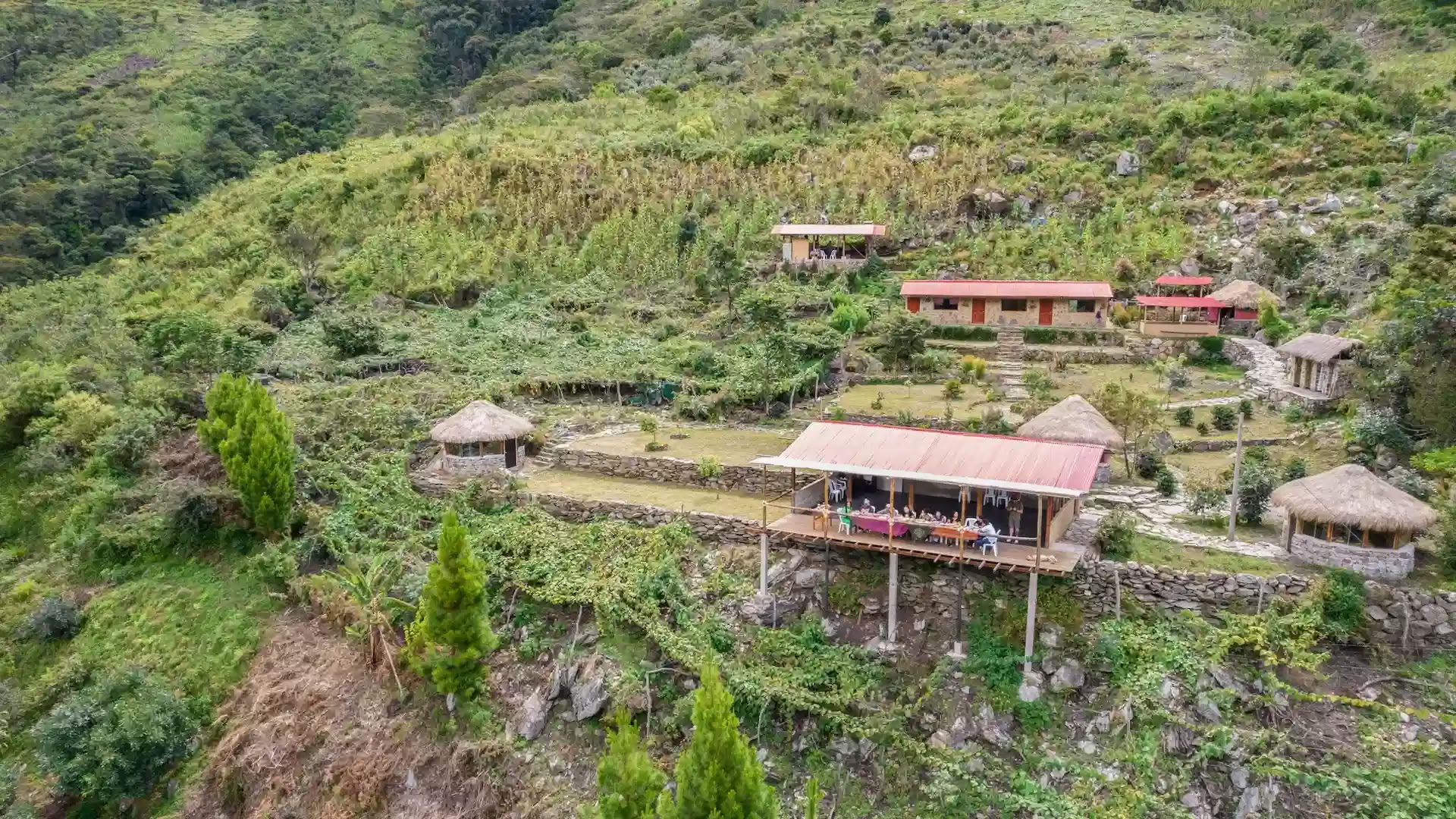 5-daagse ayahuasca-healingretreat in Peru