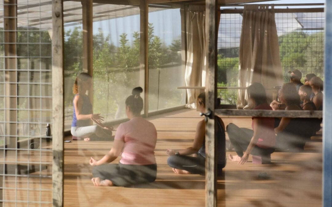 Citrusgeur Retreat - yoga & kunstreis