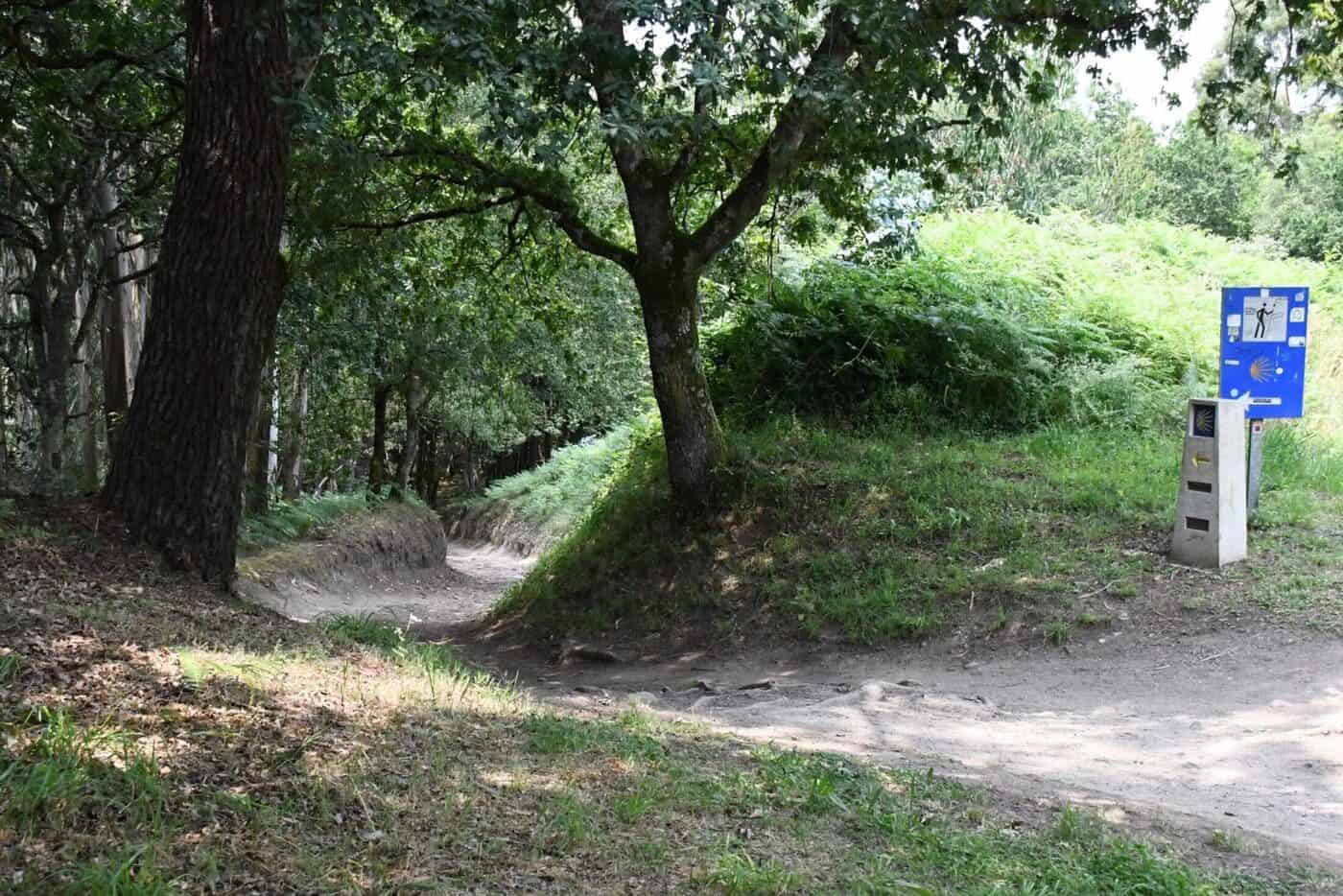 Portugese Camino de Santiago vanaf Tui in 5 etappes, comfortklasse