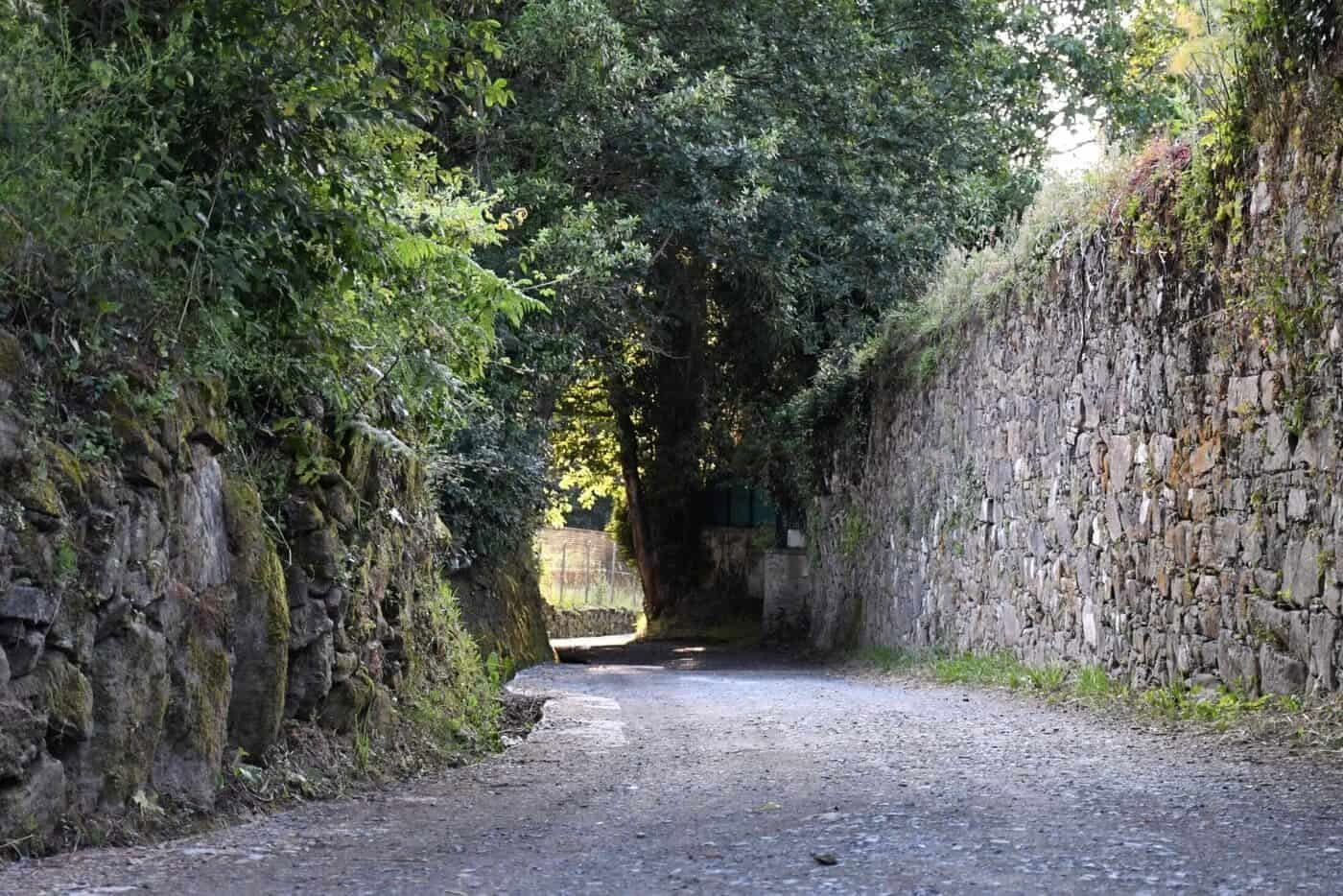 Primitieve Camino vanuit Lugo in 5 etappes, comfortklasse