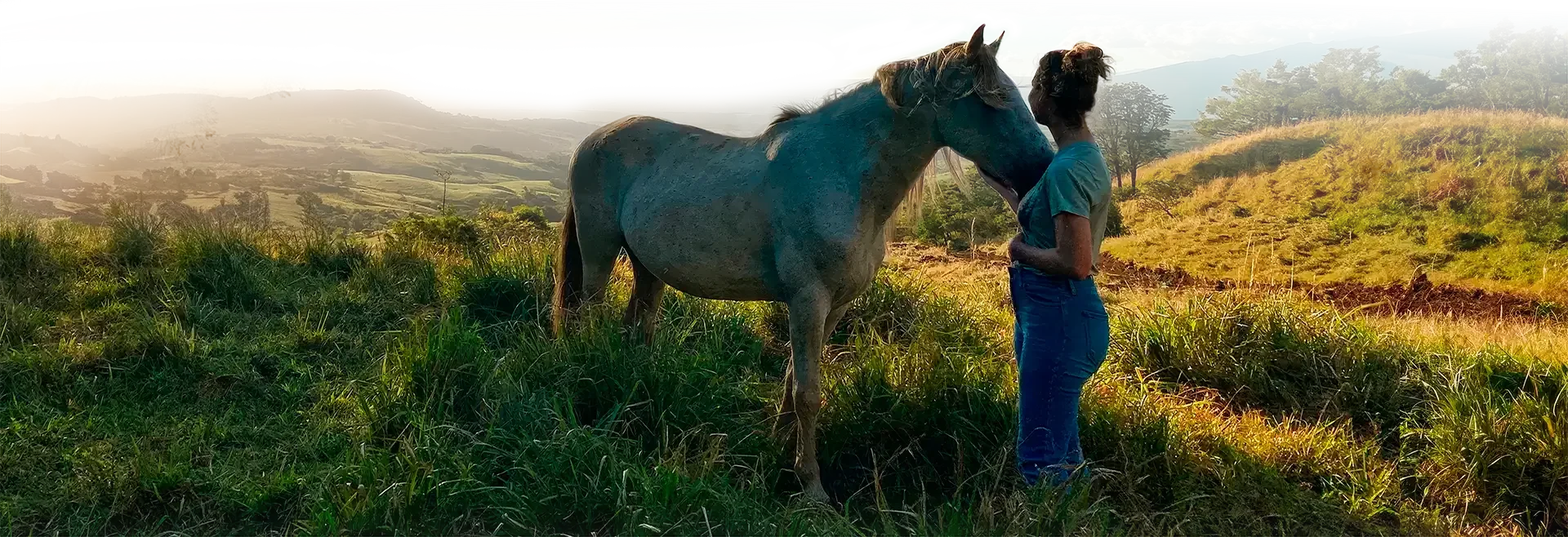 Hartfrequentiegenezing met paarden