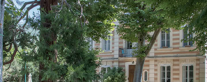 Les Marguerites
