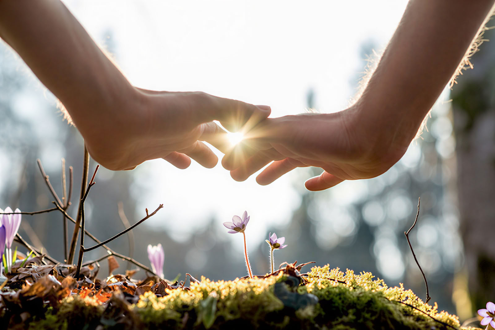 Panchakarma · 7–14 dagen Ayurveda-retreats