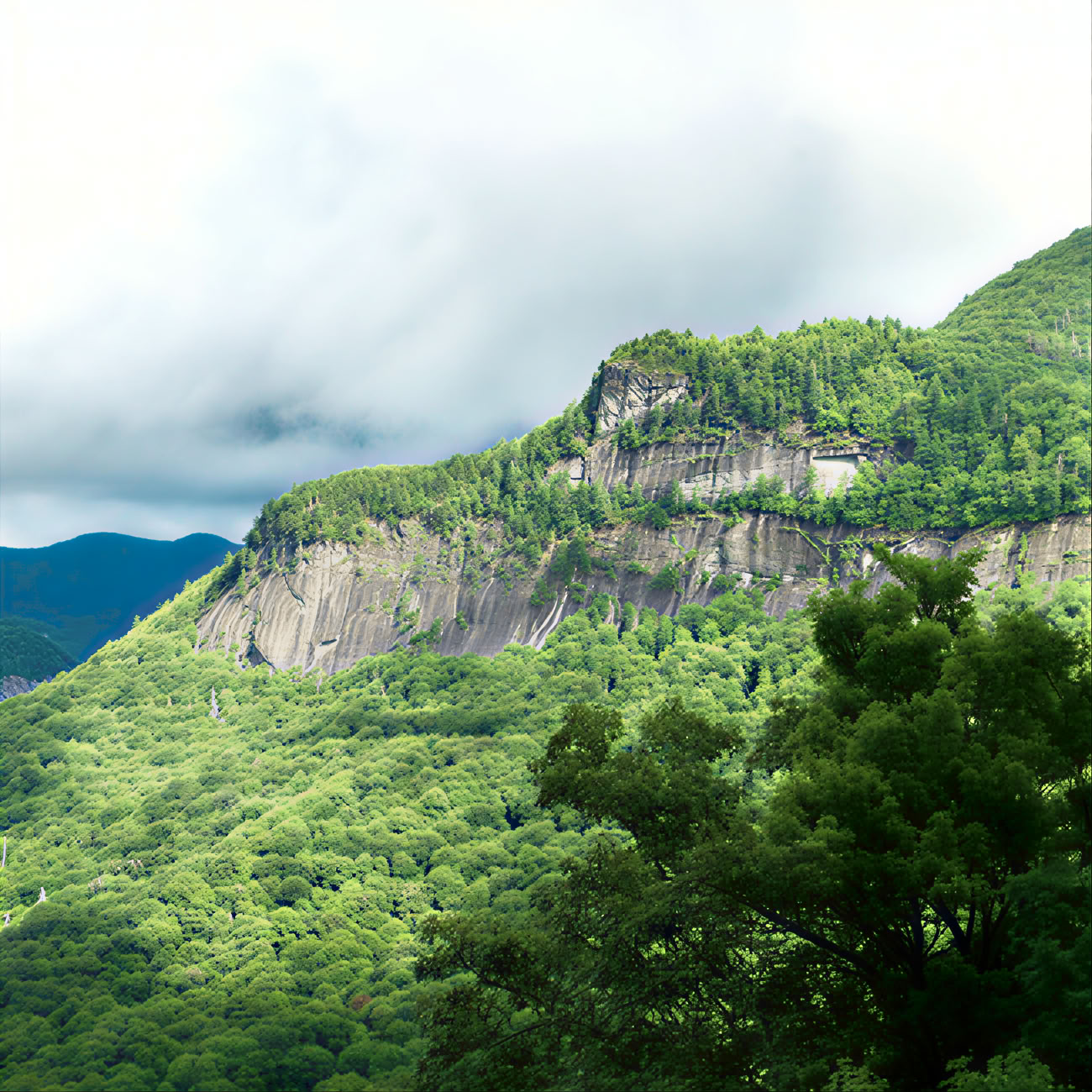 Pad naar de top van Whiteside Mountain, North Carolina