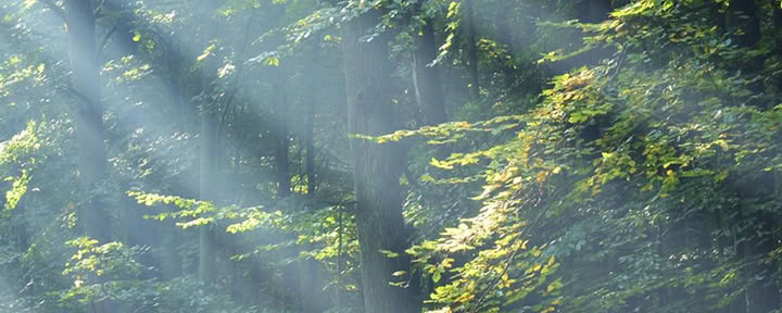 Aardevrouw Naakt Yoga- en Meditatieretraite