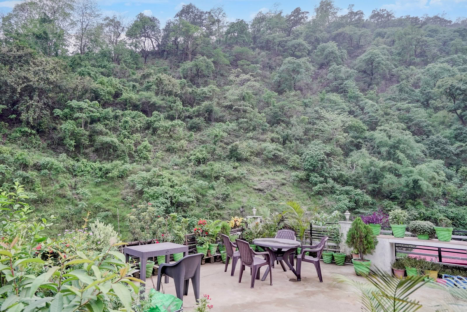 Detox-retreat in Rishikesh