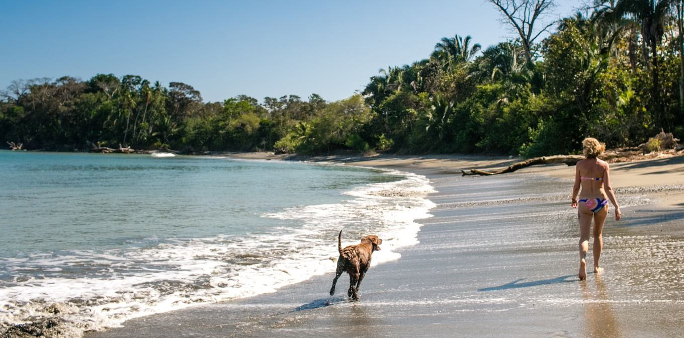 Herverbinding met de Wildernis: een vrouwenretreat naar Costa Rica met Shelia