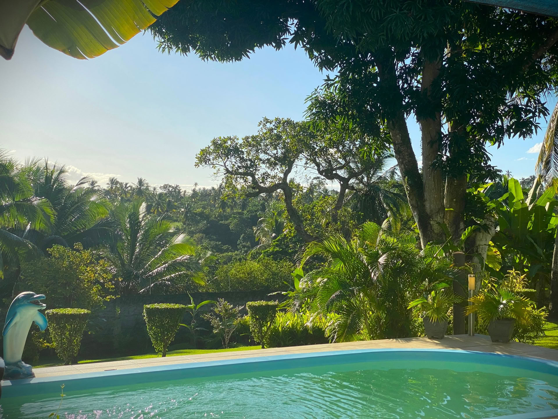 Surfkamp Bahia Brazilië