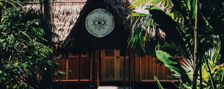 7-daagse ayahuasca-initiatie