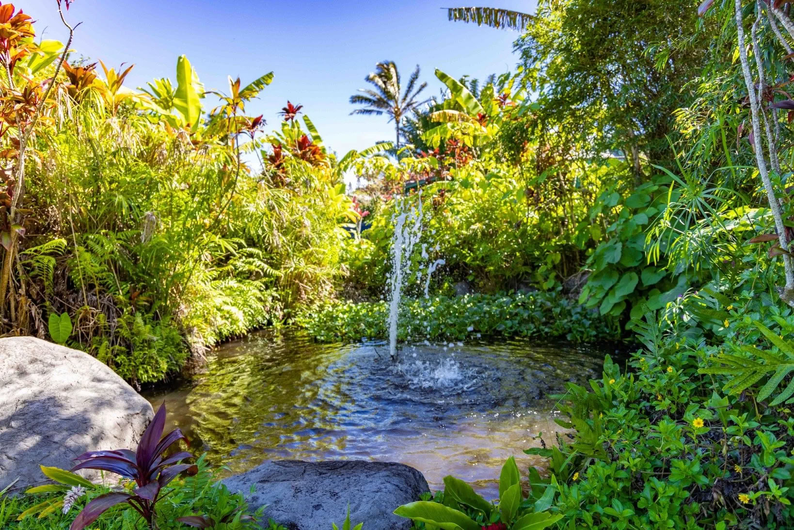 Kom je zaakjes op orde Retreat - Maui