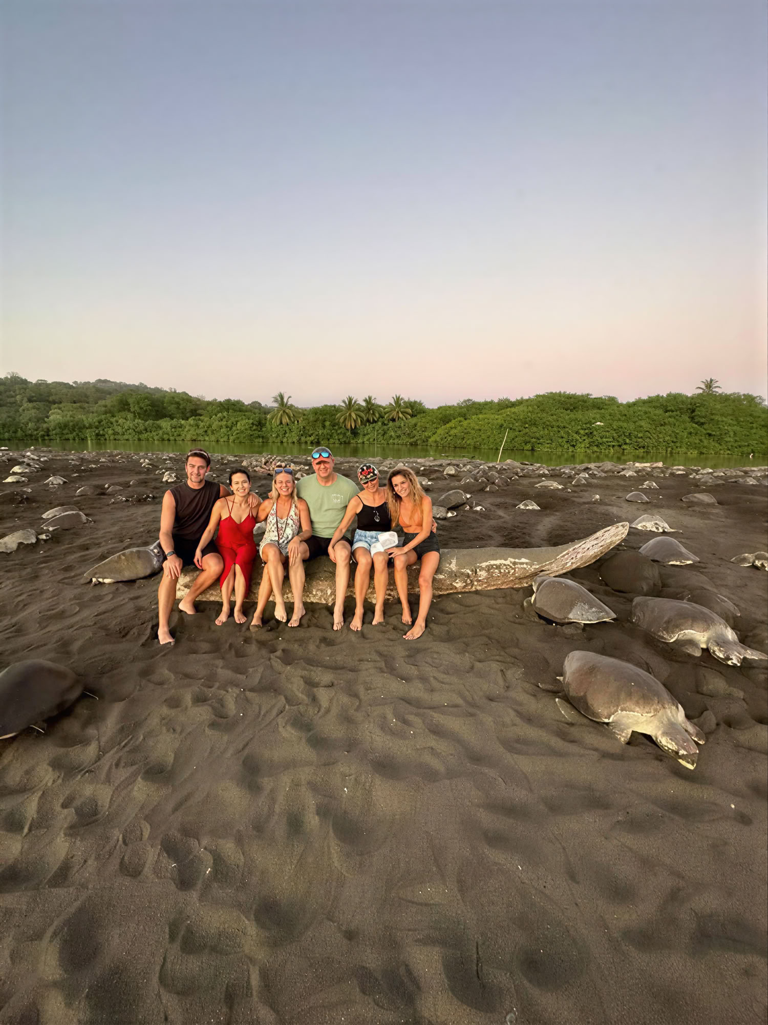 De Reset