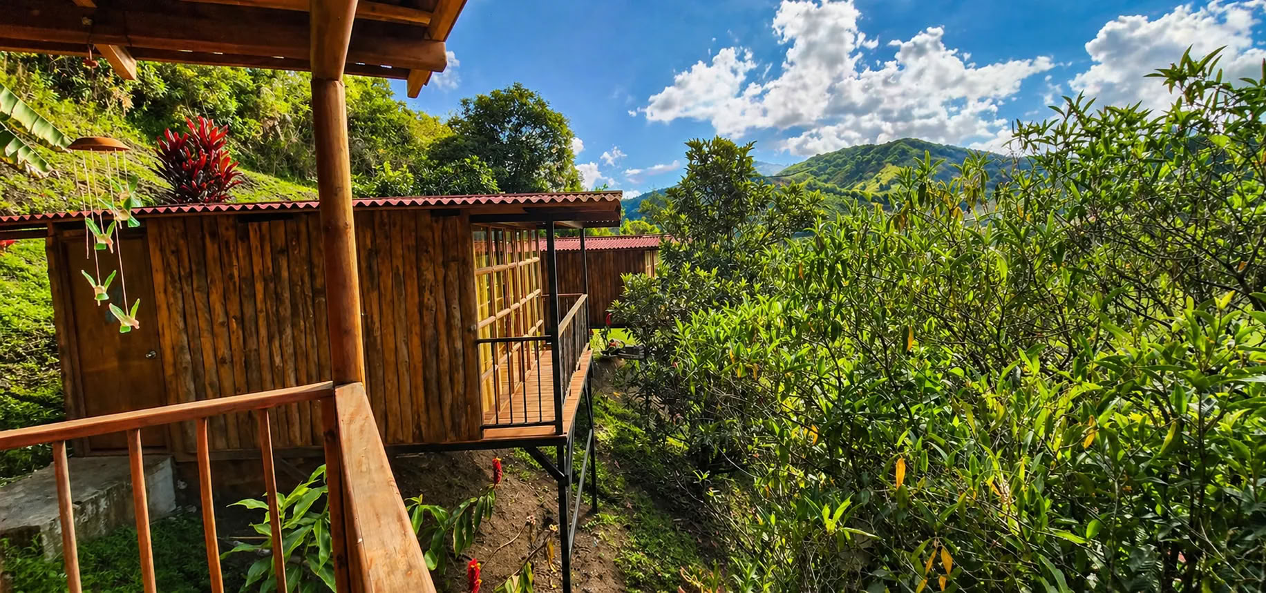 Ayahuasca-retreat in Medellín in december 2026