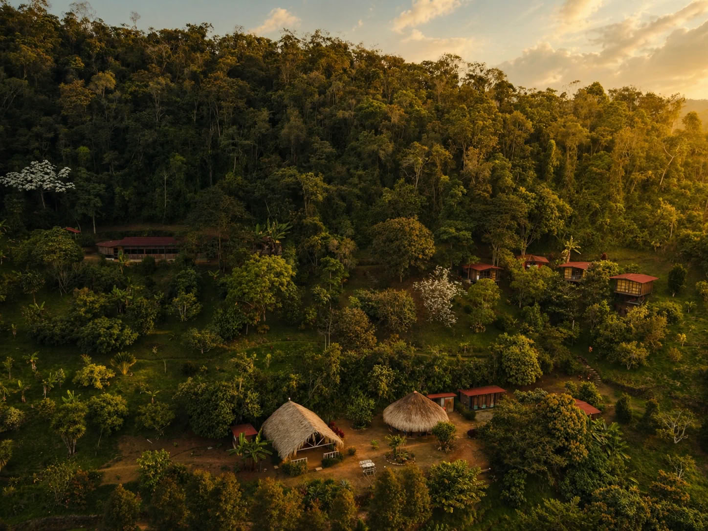 Ayahuasca-retraite voor vrouwen in Colombia