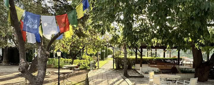 Yoga-retraite in Spanje - Niveau voor gevorderden — Niveau 3 Iyengar-yogadocente Rachel Lovegrove