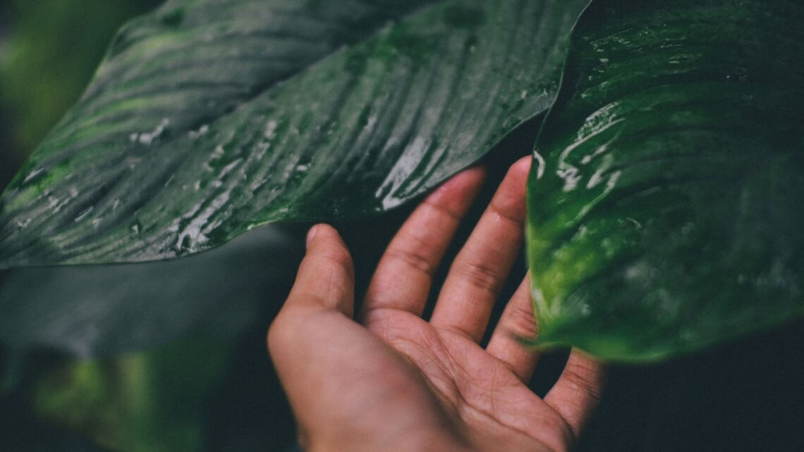 Introductie tot mindfulnessmeditatie