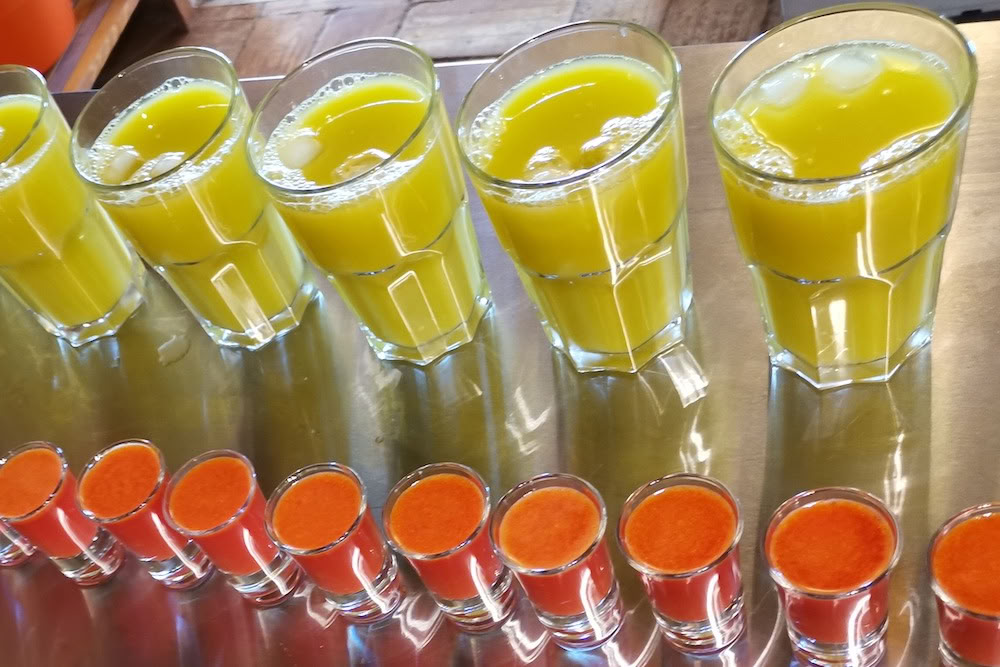 Sapdetox, yoga- & wellnessretreat – 19 sep 2026 - 29 sep 2026