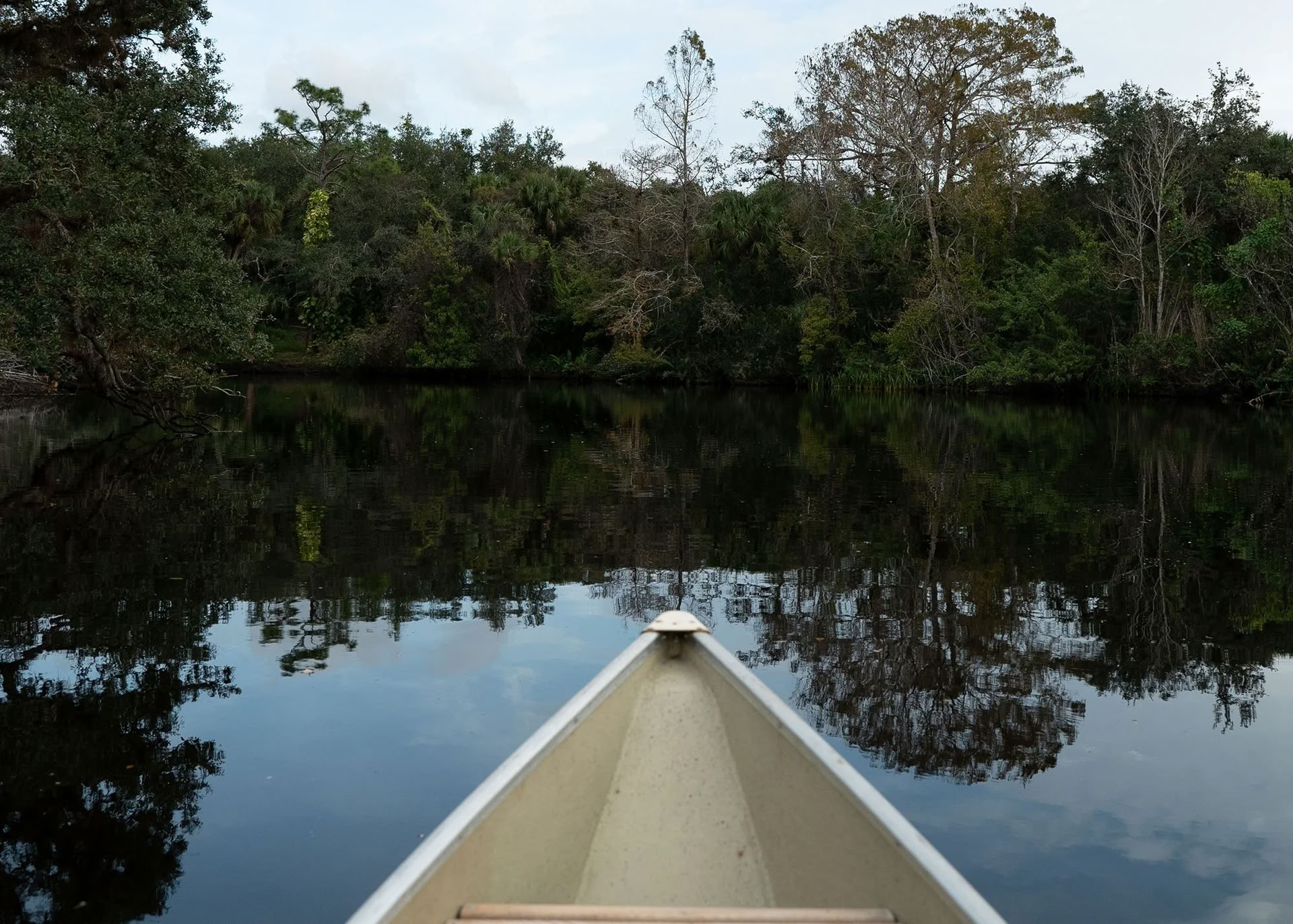 Wild Florida Familie Lenteretraite