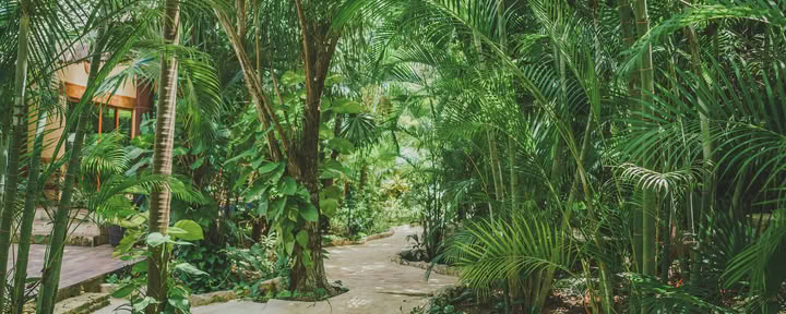 Bron Tantra Koppels Vakantieseminar