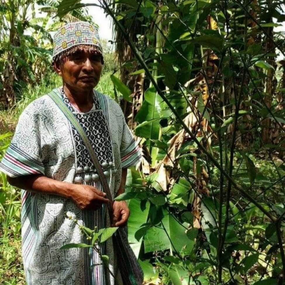 Ayahuasca-retreat in Peru met eeuwenoude ceremonies (5 dagen)
