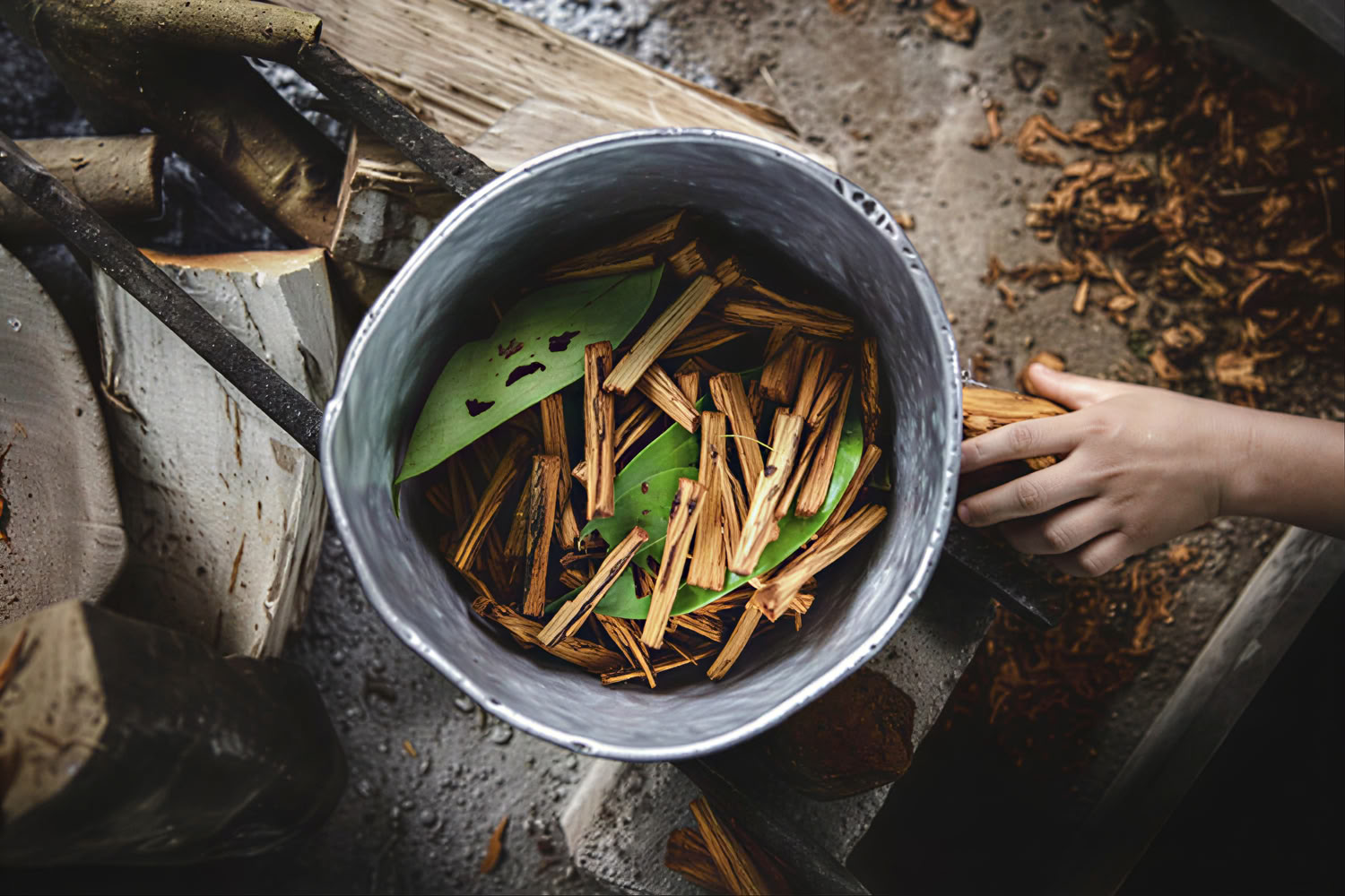 Privé ayahuasca-retreat met Andespuelen (3 dagen) ayahuasca-ceremonieretreat met Andespuelen (privé, 3 dagen) 2 ayahuasca-sessies