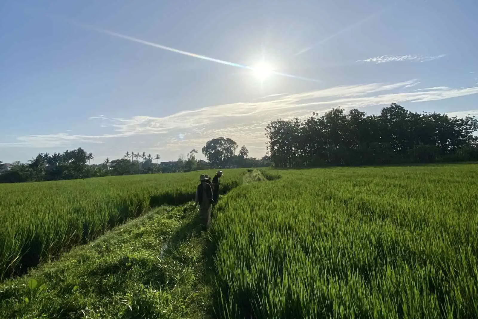 Gratis ochtendwandeling