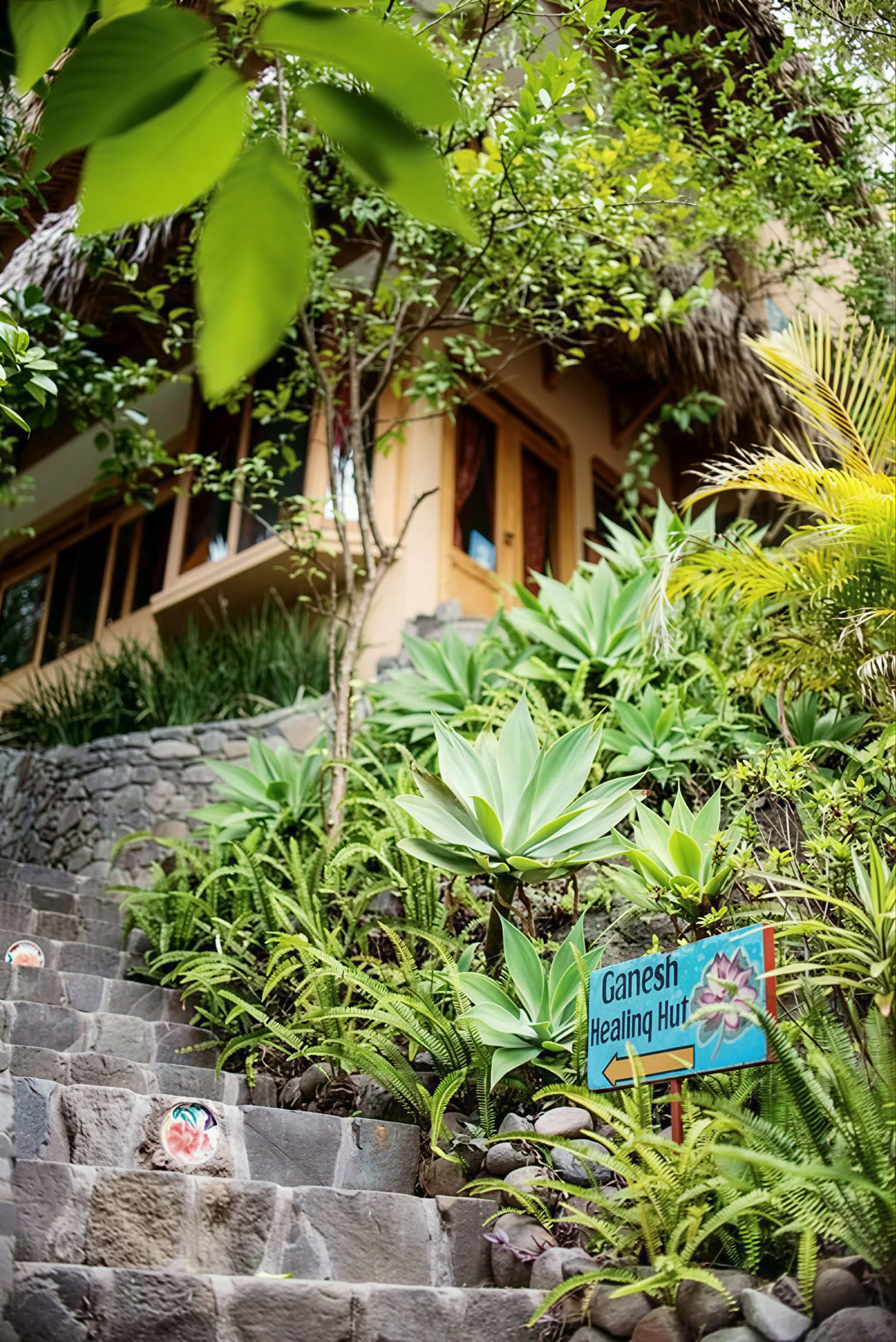 6-daagse yogaretreat in Guatemala – 1-6 september 2026 met Michelle Fajkus