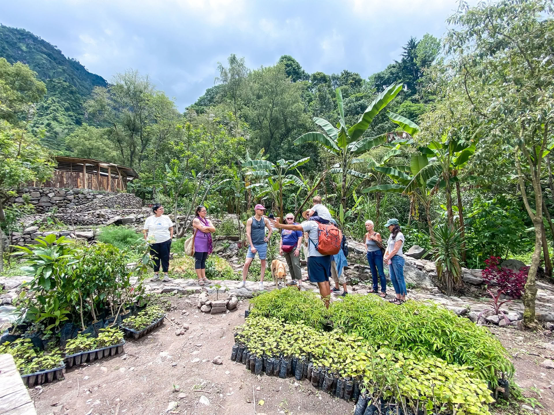 6-daagse yogaretreat in Guatemala – 1-6 september 2026 met Michelle Fajkus