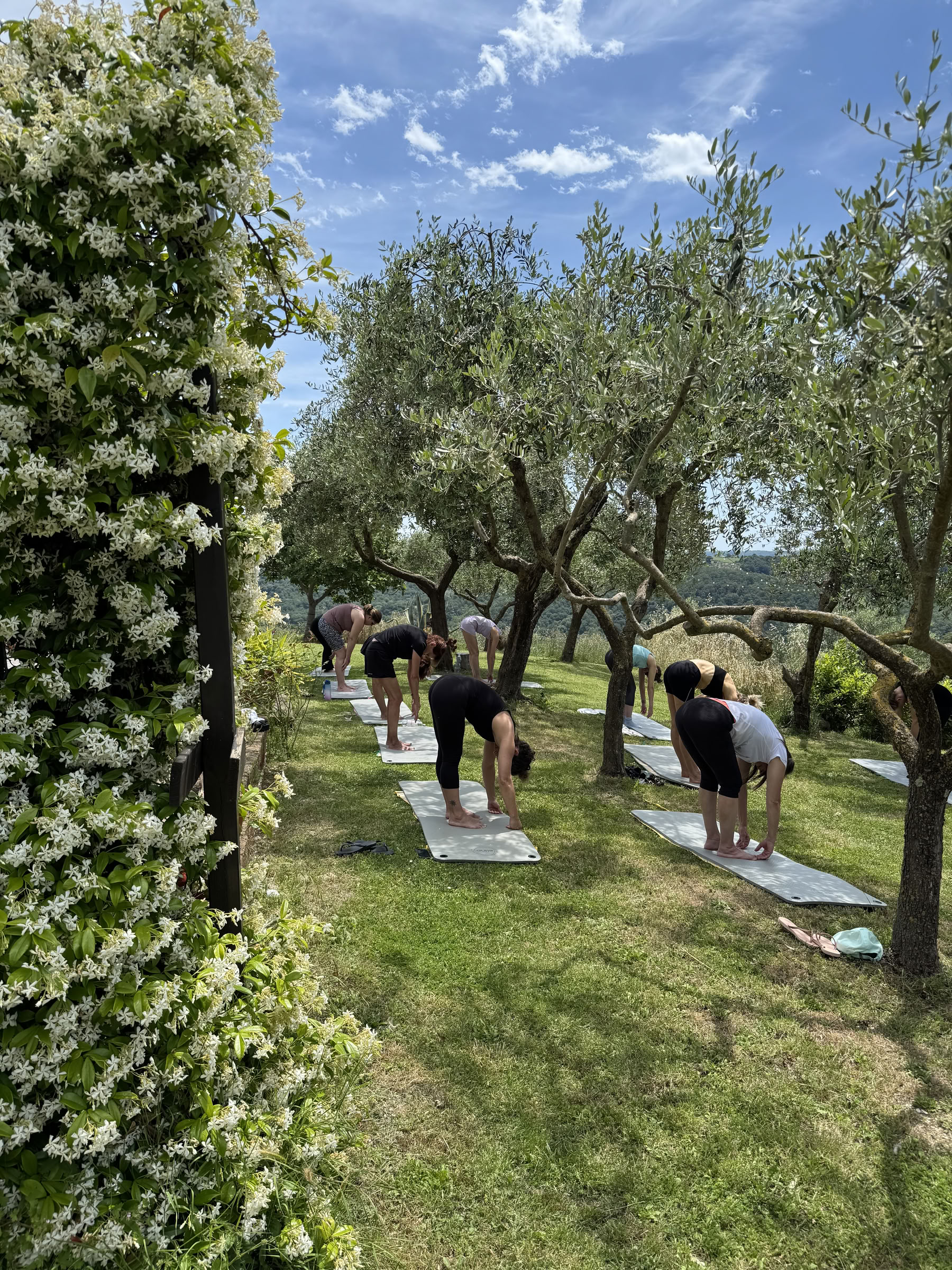 Wellnesskamp