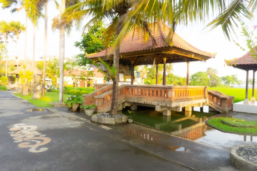 200-uurs yogadocentenopleiding op Bali