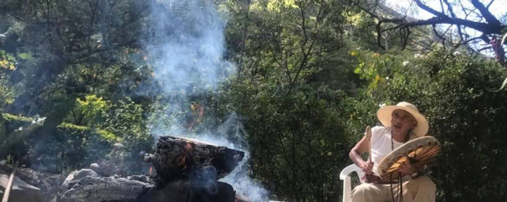 8-daagse Ayahuasca- en San Pedro-retraite Ecuador | Plantenmedicijnretraite