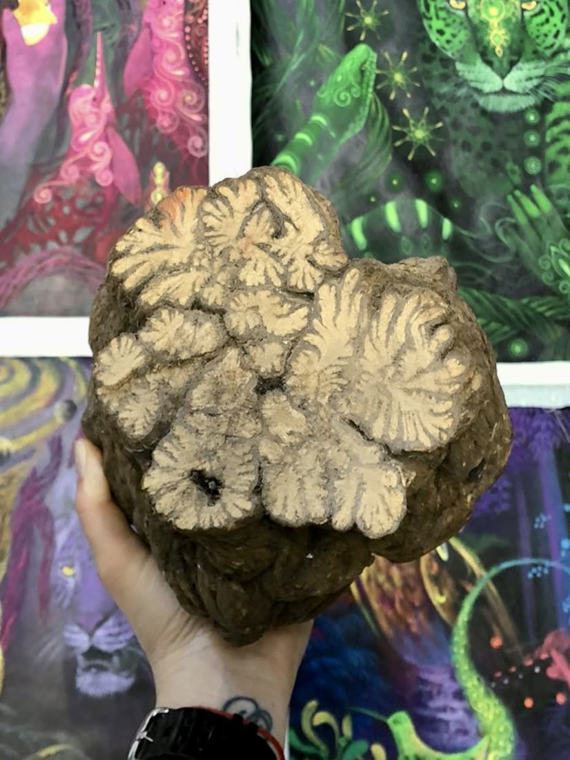 Ayahuasca Transformatieretraite oktober 2026 (8 dagen)