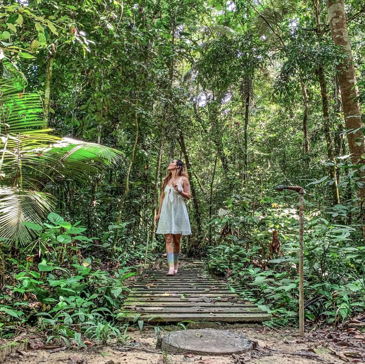 Ayahuasca Herstelretreat September 2026 (8 dagen)