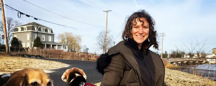 Dierenreiki