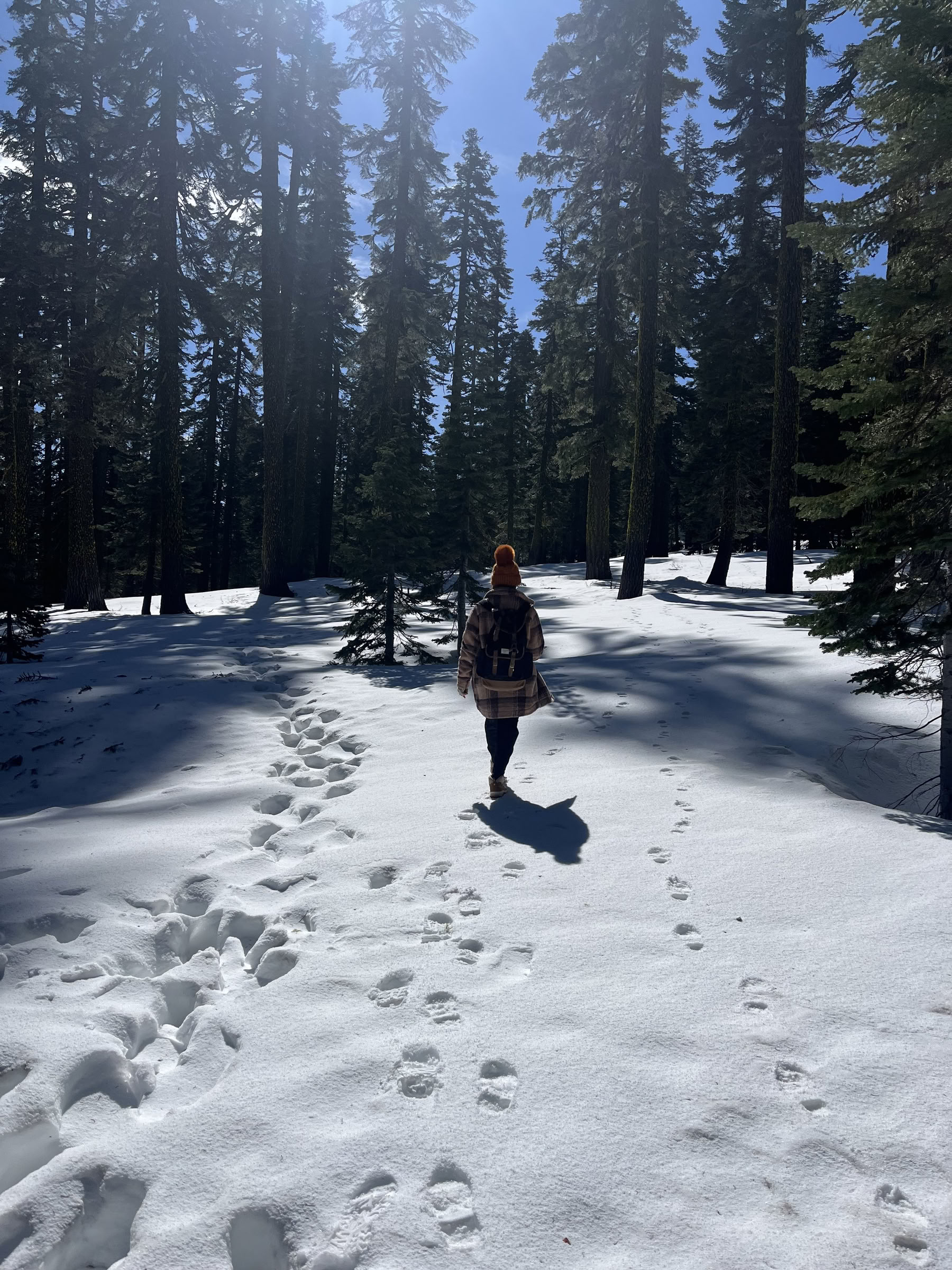 Diepe Innerlijke Rust Retraite: Mt. Shasta, CA