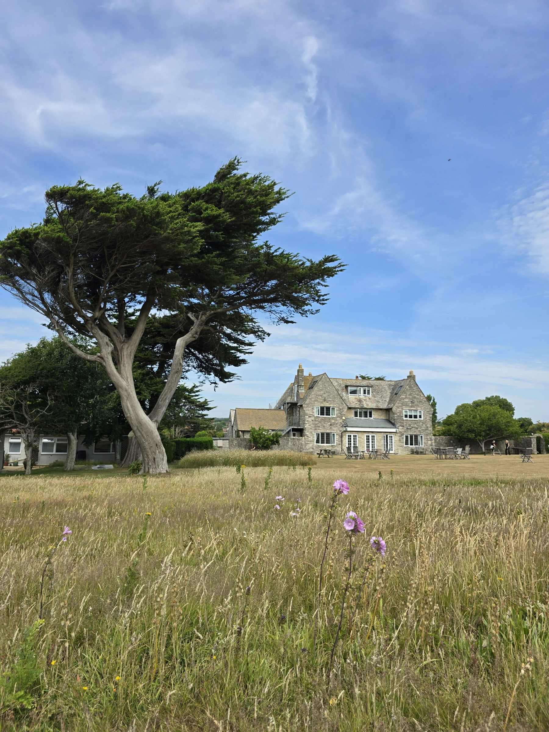 Het ontmaskeren van de Wilde Vrouw met Natasha Frost