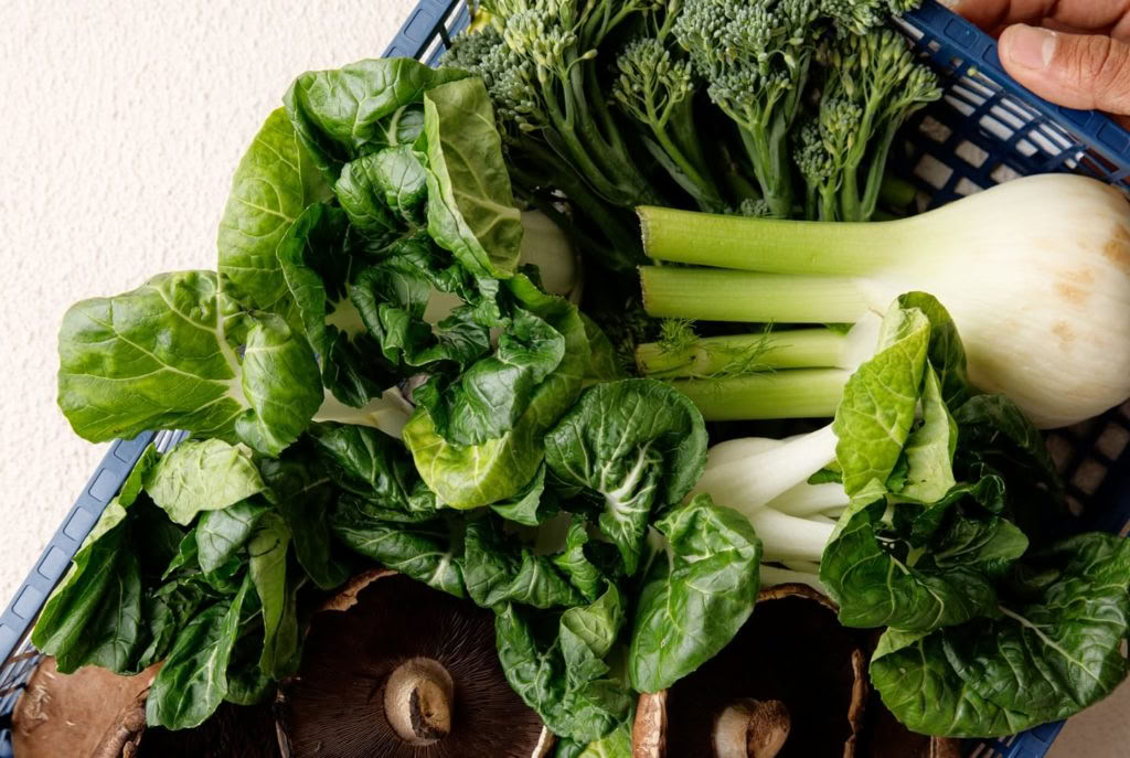 Holistisch Detoxprogramma