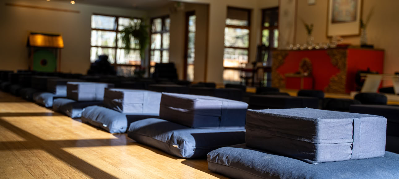 Vrede en Vrijheid: Een Meditatie-retraite van een Week