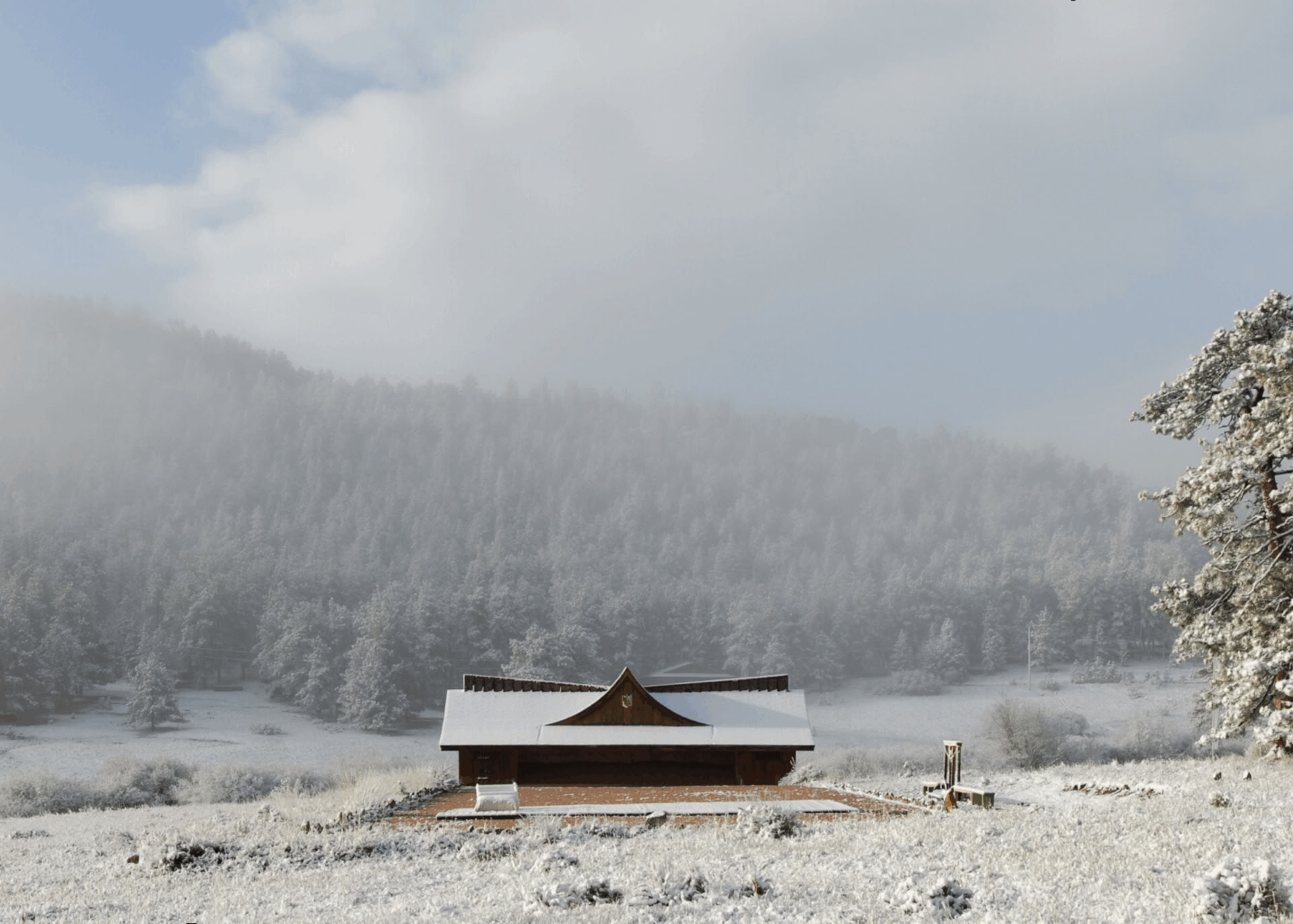 Het Hart Genezen: Een Stil Yoga- en Zenretreat