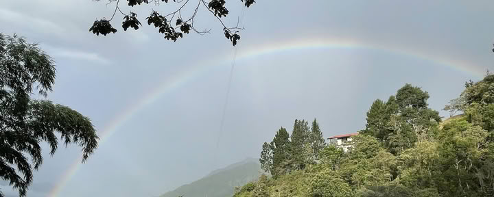Volgende Plantenmedicijnretreat